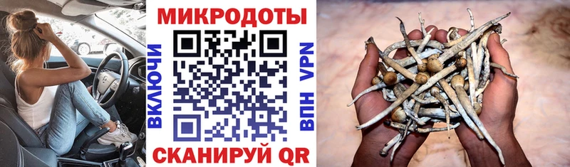Галлюциногенные грибы Psilocybe магазин наркотиков hydra онион Озёры